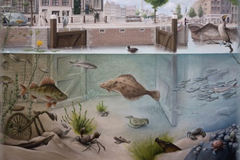 Tip: bekijk ook het educatieplatform over voldoende (schoon) water